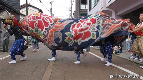 体位獅子舞|獅子舞の動き比較！人や部落で使い方に違いはあるのか？